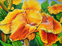 Canna Lily